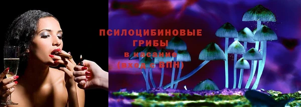 меф Ельня