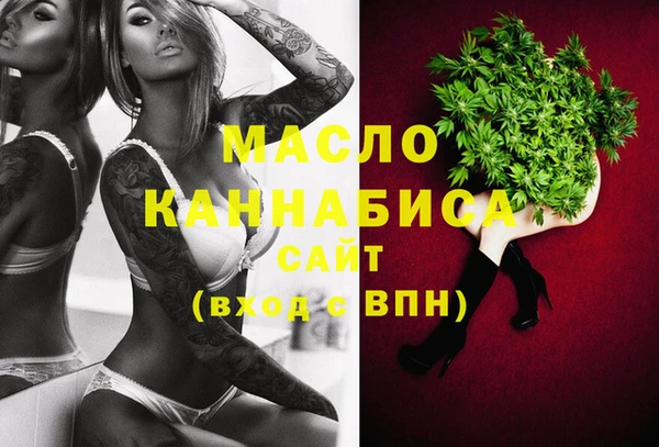 гидра Елабуга