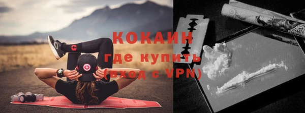 гидра Елабуга