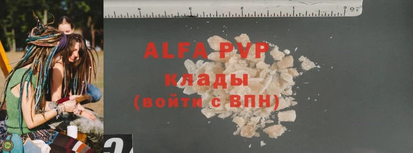 гидра Елабуга