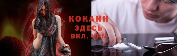 меф Ельня