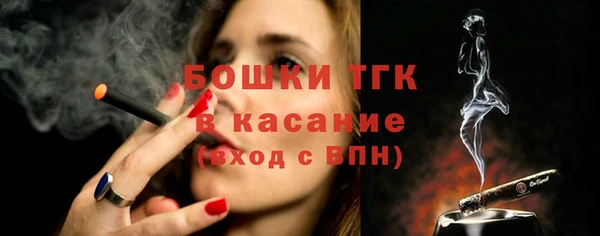 хмурый Дмитров
