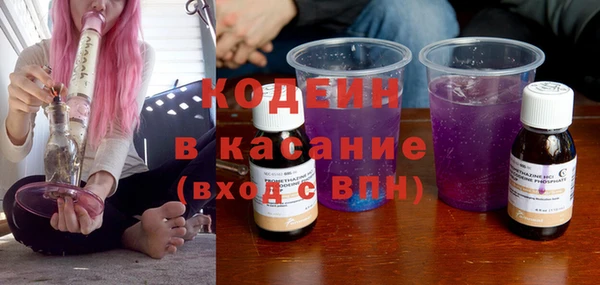 гидра Елабуга