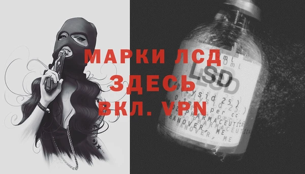 меф Ельня