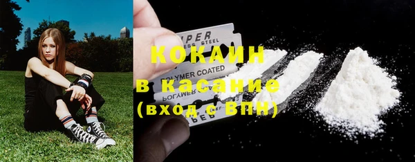 хмурый Дмитров