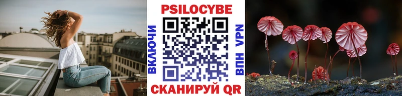 Купить закладки  Полевской  Галлюциногенные грибы MAGIC MUSHROOMS 